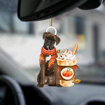 Boxer-Pumpkin Spice Kinda-Two Sided Ornament - Thegiftio UK