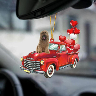 Briard-Red Sports car-Two Sided Ornament - Thegiftio UK