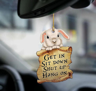 Bunny get in bunny lover two sided ornament - Thegiftio UK