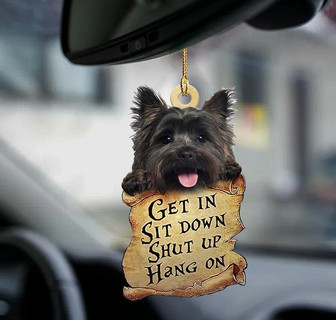Cairn Terrier get in Cairn Terrier lover dog mom two sided ornament - Thegiftio UK