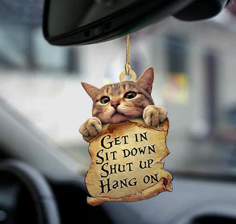 Cat get in cat lover two sided ornament - Thegiftio