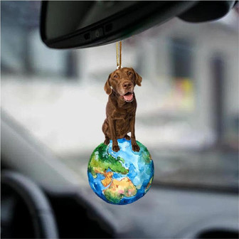 Chesapeake Bay Retriever-Around My Dog-Two Sided Ornament - Thegiftio UK