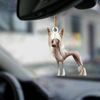 Chinese Crested Dog-Look at me-two sided ornament - Thegiftio