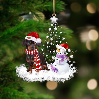 Chiweenie 2-Star Tree Hanging Ornament - Thegiftio UK