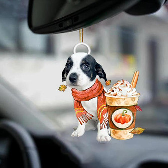 Chiweenie 3-Pumpkin Spice Kinda-Two Sided Ornament - Thegiftio UK