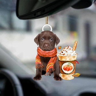 Chocolate Labrador-Pumpkin Spice Kinda-Two Sided Ornament - Thegiftio UK