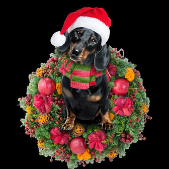 Dachshund Car Ornament - Thegiftio UK