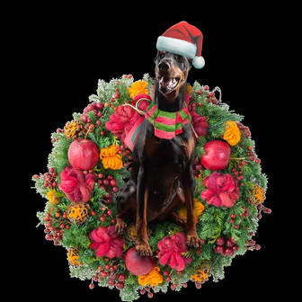 Doberman Car Ornament - Thegiftio UK