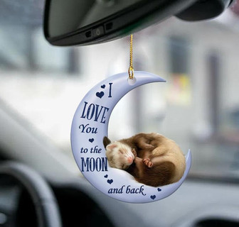 Ferret moon back ferret lover two sided ornament - Thegiftio