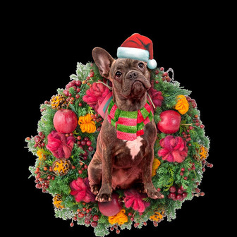 French Bulldog Car Ornament - Thegiftio