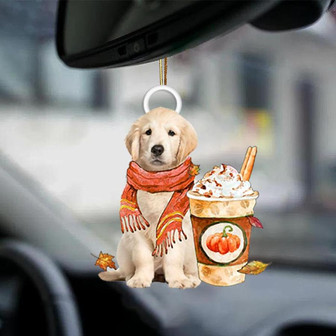 Golden Retriever 1-Pumpkin Spice Kinda-Two Sided Ornament - Thegiftio