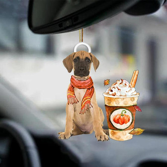 Great Dane-Pumpkin Spice Kinda-Two Sided Ornament - Thegiftio UK