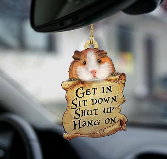 Guinea pig get in guinea pig lover two sided ornament - Thegiftio UK