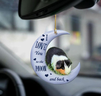 Guinea Pig moon back gift for Guinea Pig lover two sided ornament cus - Thegiftio UK