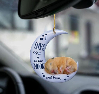 Hamster moon back hamster lover two sided ornament - Thegiftio UK