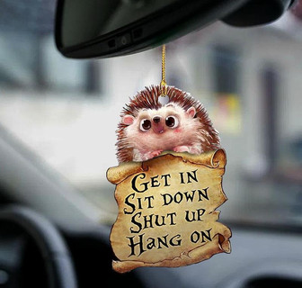Hedgehog get in hedgehog lover two sided ornament - Thegiftio UK