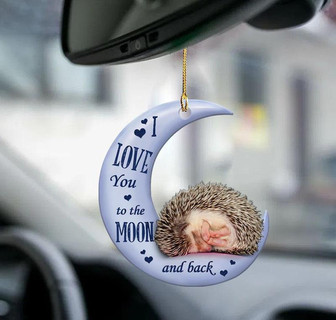 Hedgehog moon back hedgehog lover two sided ornament - Thegiftio UK