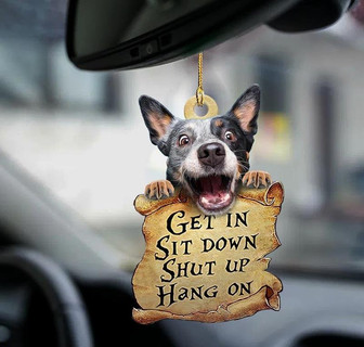 Heeler get in dog moms two sided ornament - Thegiftio UK