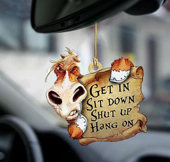 Horse get in horse lover two sided ornament - Thegiftio