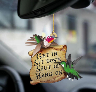Hummingbird get in hummingbird lover two sided ornament - Thegiftio UK