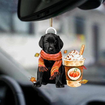 Labrador-Pumpkin Spice Kinda-Two Sided Ornament - Thegiftio