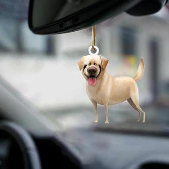 Labrador Retriever-Look at me-two sided ornament - Thegiftio UK