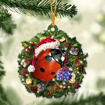 Ladybug and Christmas gift for her gift for him gift for Ladybug lover ornament - Thegiftio UK