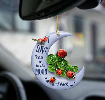 Ladybugs moon back ladybugs lover two sided ornament - Thegiftio UK