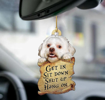 Lhasa Apso Get In Two Sided Ornament - Thegiftio UK