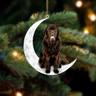 Newfoundland 2-Sit On The Moon-Two Sided Ornament - Thegiftio UK