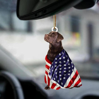 Patriotic Chocolate Labrador Retriever With Mount Rushmore Flag Two Sided Ornament - Thegiftio UK