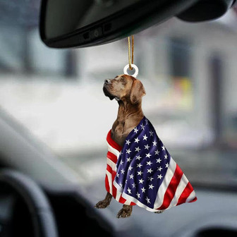Patriotic Great Dane With Mount Rushmore Flag Two Sided Ornament - Thegiftio UK
