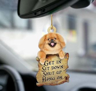 Pekingese get in two sided ornament - Thegiftio UK