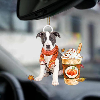 Pitbull 2-Pumpkin Spice Kinda-Two Sided Ornament - Thegiftio