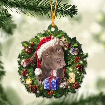 Pitbull and Christmas gift for her gift for him gift for Pitbull lover ornament - Thegiftio UK
