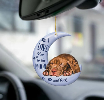 Pitbull moon back pitbull lover dog moms two sided ornament - Thegiftio UK