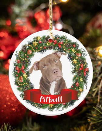 Pitbull-Noel Circle-Two Sided Ornament - Thegiftio UK