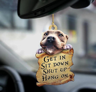 Pitbull get in pitbull lover two sided ornament - Thegiftio UK