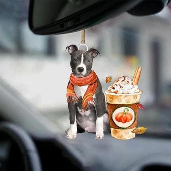Pitbull-Pumpkin Spice Kinda-Two Sided Ornament - Thegiftio