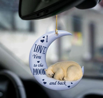 Polar bear moon back polar bear lover two sided ornament - Thegiftio