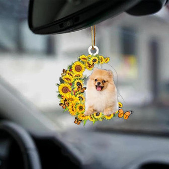 Pomeranian-Be kind-Two Sided Ornament - Thegiftio UK