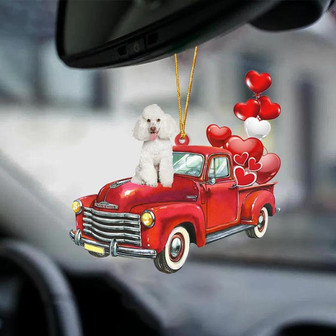 Poodle 2-Red Sports car-Two Sided Ornament - Thegiftio UK