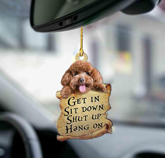Poodle get in dog moms two sided ornament - Thegiftio UK