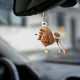 Poodle Miniture-Look at me-two sided ornament - Thegiftio UK