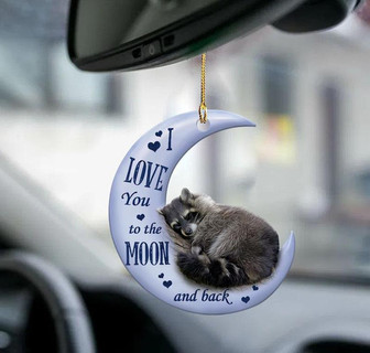 Raccoon moon back raccoon lover two sided ornament - Thegiftio UK