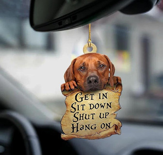 Rhodesian Ridgeback get in dog moms two sided ornament - Thegiftio UK