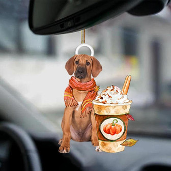 Rhodesian Ridgeback-Pumpkin Spice Kinda-Two Sided Ornament - Thegiftio
