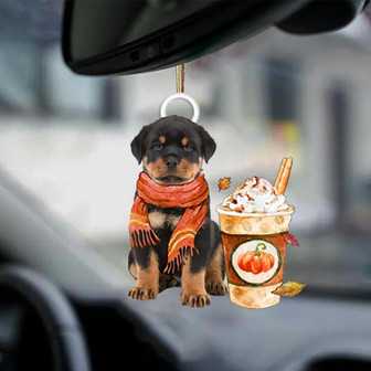 Rottweiler-Pumpkin Spice Kinda-Two Sided Ornament - Thegiftio