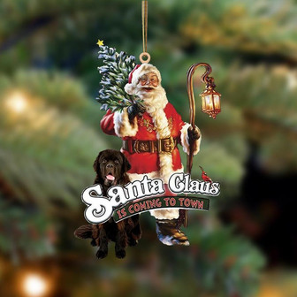 Santa Is Coming To Town With Newfoundland-Two Sided Ornament - Thegiftio UK
