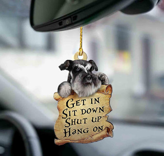 Schnauzer get in schnauzer lover dog moms two sided ornament - Thegiftio UK